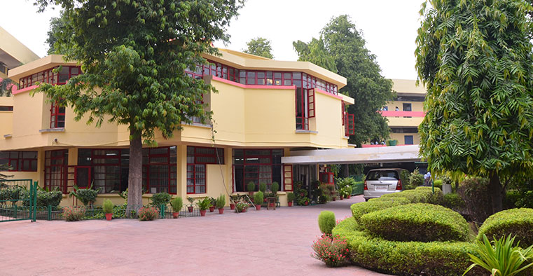 Apeejay school sector 15 faridabad