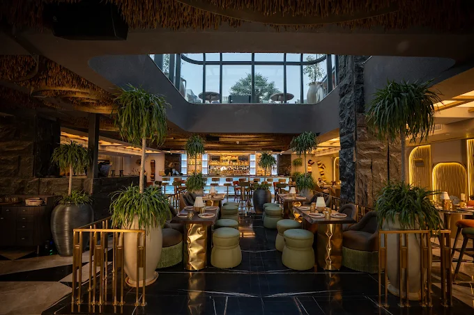 All About KOCA: Yuvraj Singh's New Restaurant in Gurugram 2 KOCA Restaurant Ambience